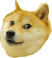 :doge: